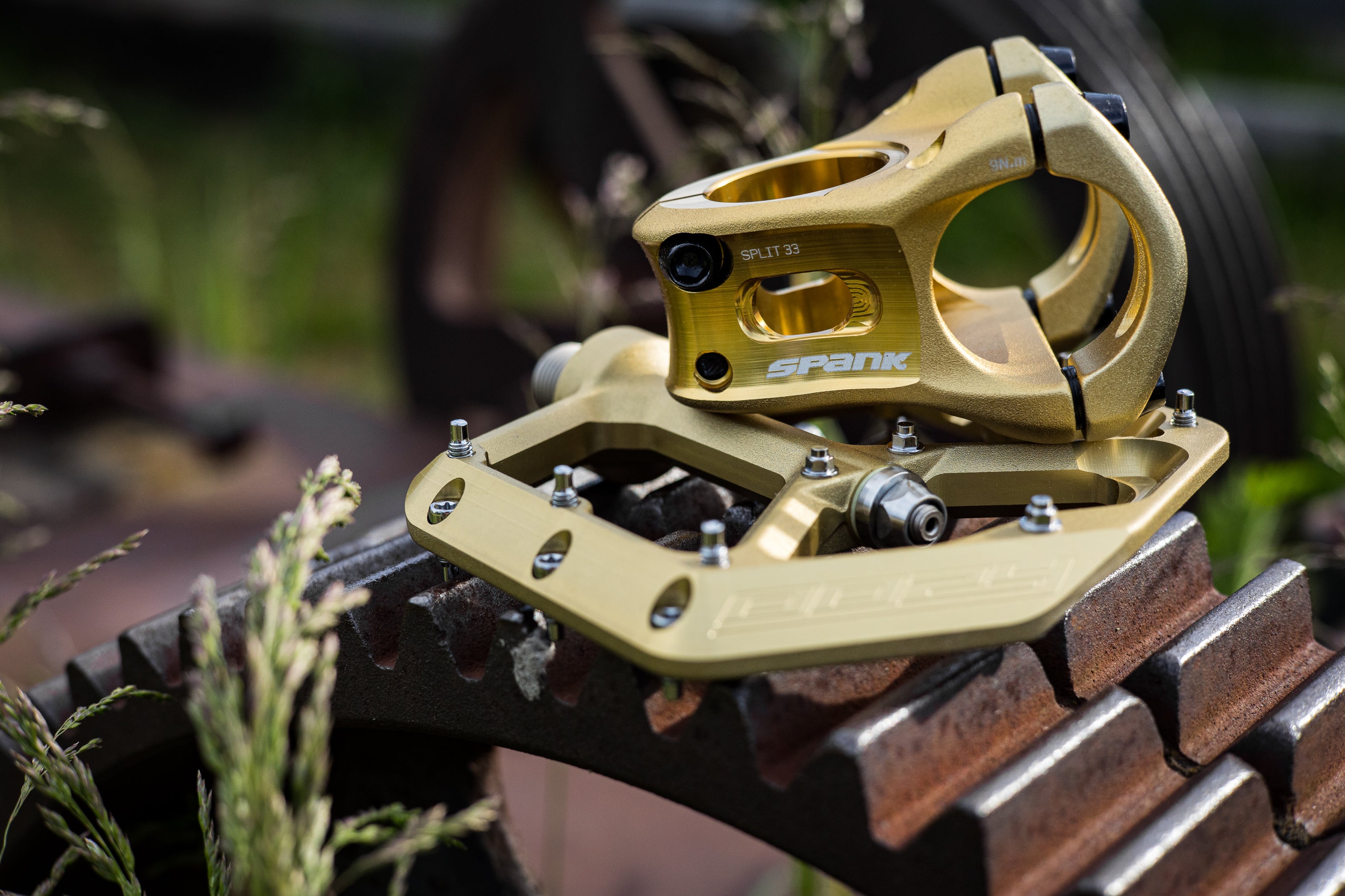 Limited Edition (Gold) – The Gravity Cartel