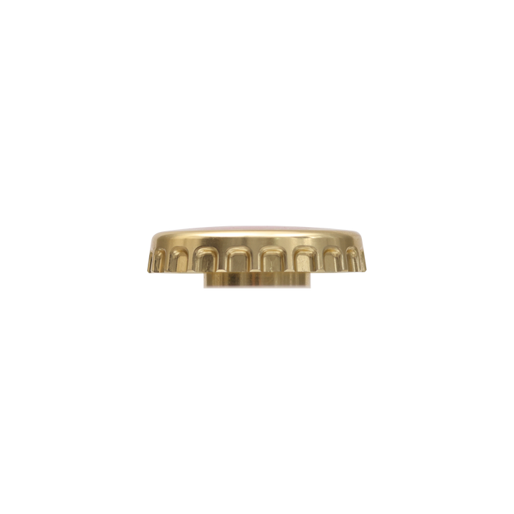 SPANK X Rainier Stem Top Cap
